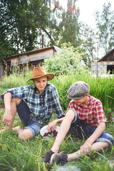 Due Fratelli Seduti Sull Erba Mangiano Ciliegie Del Villaggio — Foto Stock