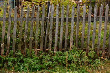 sonbahar kırsalında eski ahşap çit