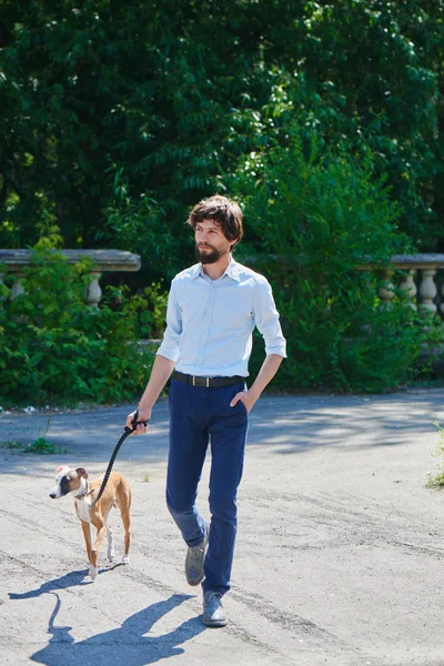 handsome man with dog walking at summer park