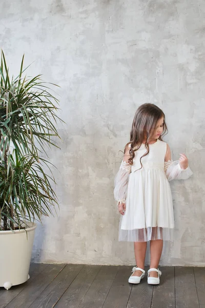 Bonita Niña Vestido Blanco Elegante Posando Sobre Fondo Gris Concepto — Foto de Stock