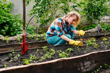sulama tesisleri çiçek yatakta kadın ayar cihazı