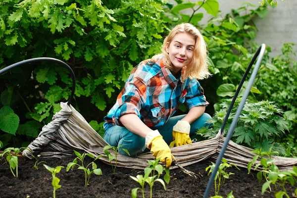 Kvinna Med Hand Gaffel Färd Med Plantering Plantor Växthuset — Stockfoto