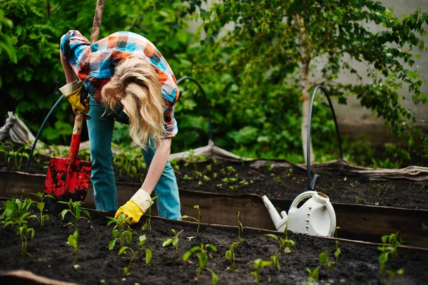 Kvinna Med Spade Färd Med Plantering Plantor Blomster Trädgården — Stockfoto