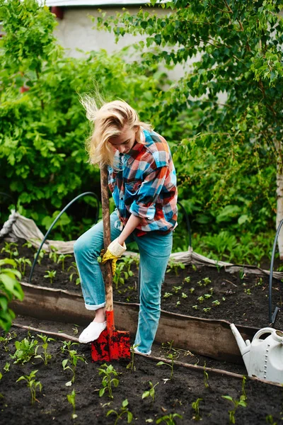 Kvinna Med Spade Gräva Blomsterrabatt Med Plantor Trädgården — Stockfoto