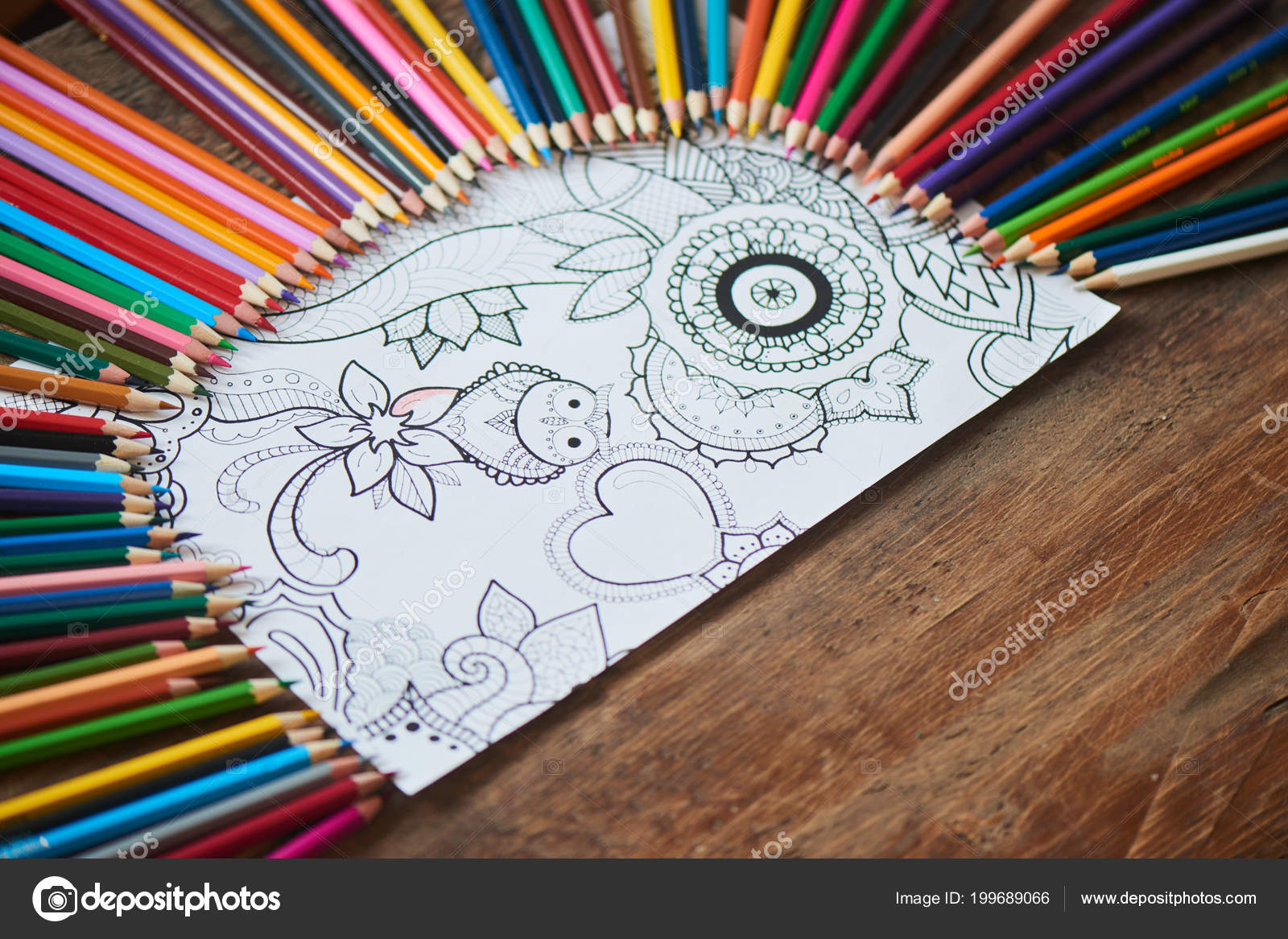 Piękny Obraz Sowa Kwiaty Otoczone Kredki Drewnianym Stole