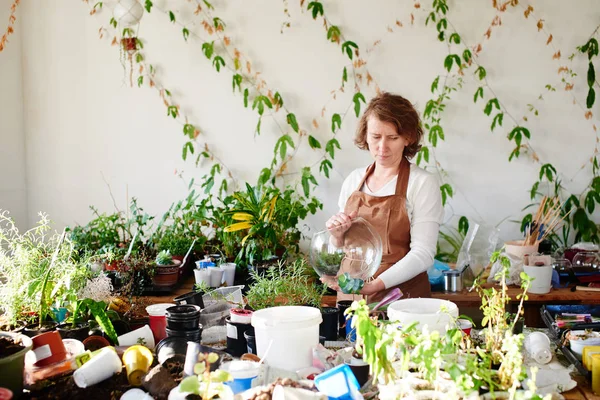 Female Florist Holding Shaped Glass Mini Terrarium Choosing Plants — Stock Photo, Image