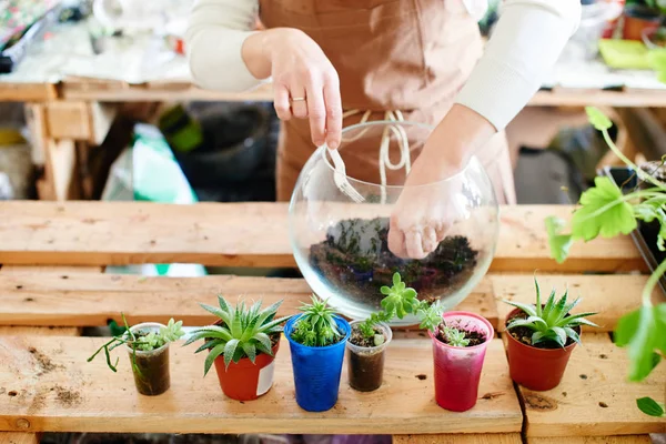 Bloemist Bodem Voorbereiden Planten Glazen Pot Concept Van Mini Terrarium — Stockfoto