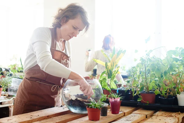 Florist Förbereder Marken För Växter Glas Kruka Begreppet Mini Terrarium — Stockfoto
