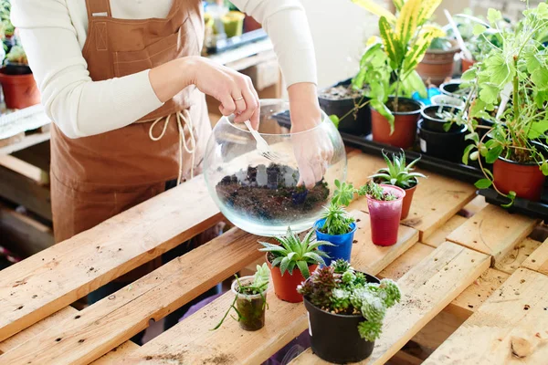 Florist Preparing Soil Plants Glass Pot Concept Mini Terrarium — Stock Photo, Image