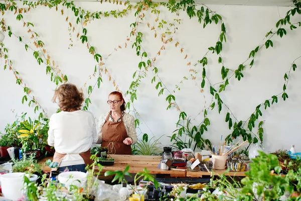 Kvinnliga Florister Att Hand Groddar Krukväxter — Stockfoto