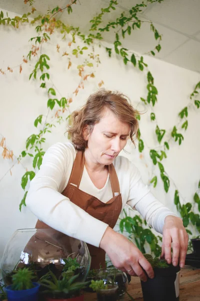 Odlaren Planteringsjord Växter Runda Glas Mini Terrarium Begreppet Botaniska Hobby — Stockfoto