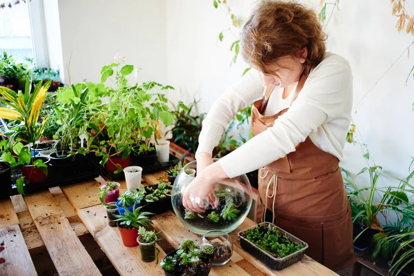 Kvinna Florist Växande Växter Och Blommor Mini Terrarium Kvinnliga Hobby — Stockfoto