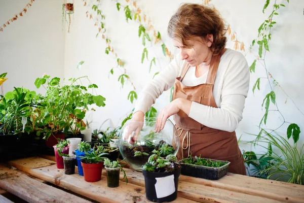 Floristin Baut Zimmerpflanzen Und Blumen Mini Terrarium Weibliches Hobbykonzept — Stockfoto