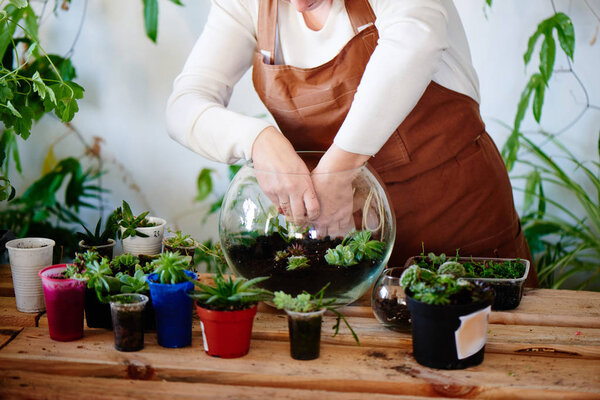 Woman nerd florist making mini terrarium with house plants, female hobby concept, close-up  