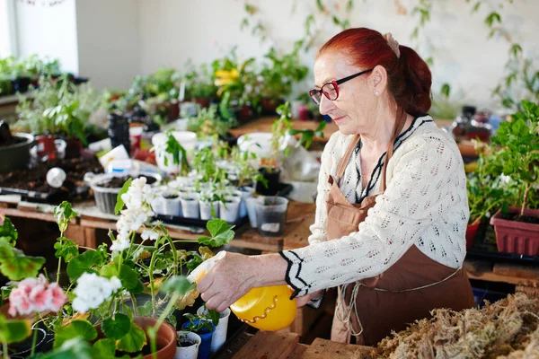 黄色のボトルから植物を噴霧しながら世話の花屋 — ストック写真