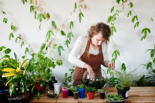 Teler Potting Planten Ronde Glas Mini Terrarium Concept Van Botanic — Stockfoto