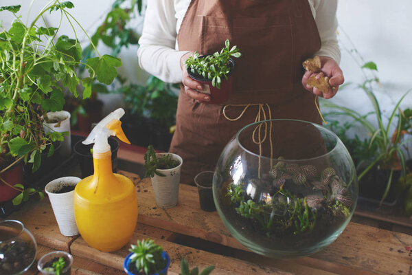 Woman nerd florist making mini terrarium with house plants, female hobby concept 