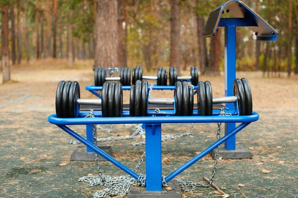 Kurzhanteln Auf Outdoor Spielplatz Wald Nahaufnahme — Stockfoto