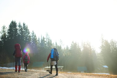 turist sırt çantaları ve orman köyde yakınındaki yolda yürürken Polonyalılar ile Grup 