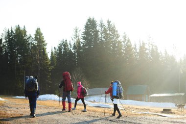 turist sırt çantaları ve orman köyde yakınındaki yolda yürürken Polonyalılar ile Grup 