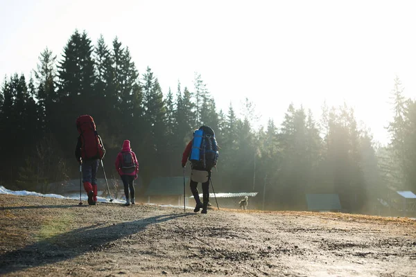 turist sırt çantaları ve orman köyde yakınındaki yolda yürürken Polonyalılar ile Grup 