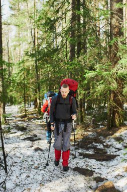bahar orman içinden gidiş sırt çantası ile erkek yürüyüşçü