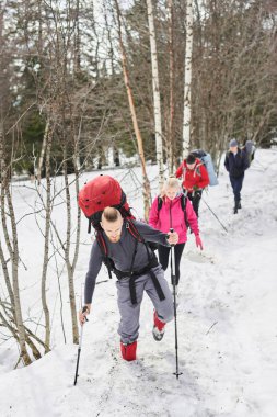 Grup dört turist ormanı tepeye gidiyor