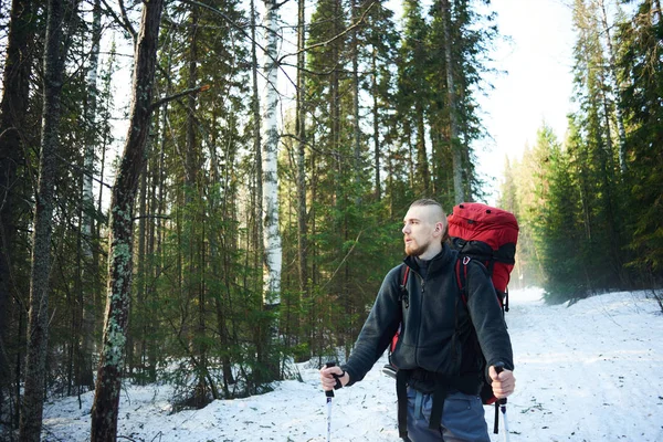 Schöner Männlicher Wanderer Mit Rucksack Und Stöcken Der Zwischen Bäumen — Stockfoto