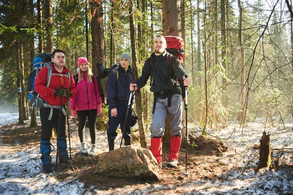 Gruppe Von Rucksacktouristen Mit Rucksäcken Und Stöcken Steht Frühlingswald — Stockfoto