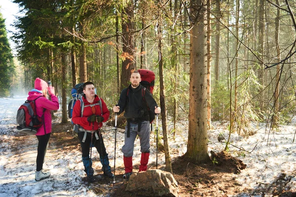 Gruppo Zaino Spalla Con Zaini Bastoncini Piedi Nella Foresta Primaverile — Foto Stock