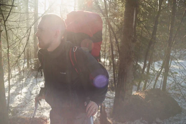 Handsome Male Hiker Backpack Poles Standing Trees Forest — Stock Photo, Image