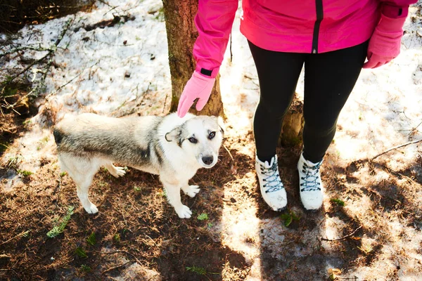 kadın köpek ormandaki sevecen sıcak giysiler içinde 