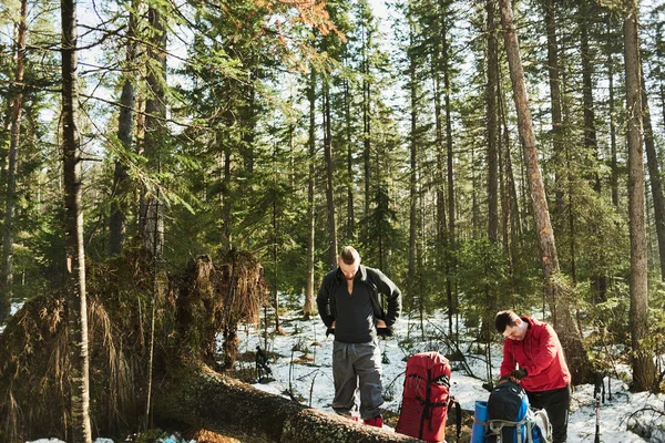 Male Hikers Dismantling Backpacks Spring Forest Hike Concept — Stock Photo, Image