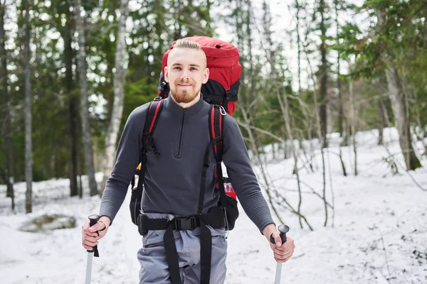 Male Hiker Backpack Going Spring Forest — Stock Photo, Image