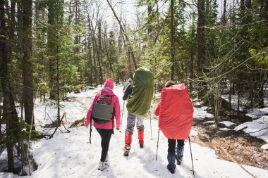 arkadan güneşli gün ormanda gidiş backpackers grup görünüşü