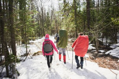 arkadan güneşli gün ormanda gidiş backpackers grup görünüşü