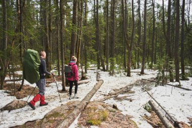 Arkadan Görünüş erkek ve kadın sırt çantaları ve bahar ormanda yürüyüş Polonyalılar ile 