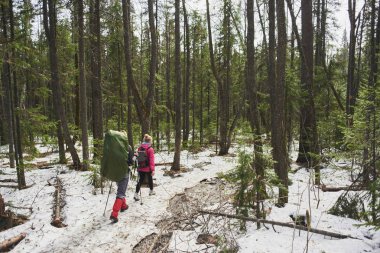 Arkadan Görünüş erkek ve kadın sırt çantaları ve bahar ormanda yürüyüş Polonyalılar ile 