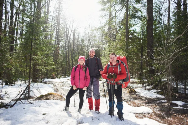 Grupo Turistas Felizes Mochileiros Com Mochilas Postes Neve Floresta Ensolarada — Fotografia de Stock