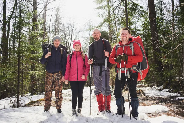 Grupo Mochileiros Felizes Com Mochilas Pólos Neve Floresta Ensolarada Primavera — Fotografia de Stock