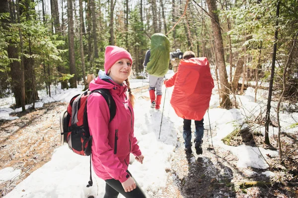 Back View Group Backpackers Going Wood Sunny Day — Stock Photo, Image