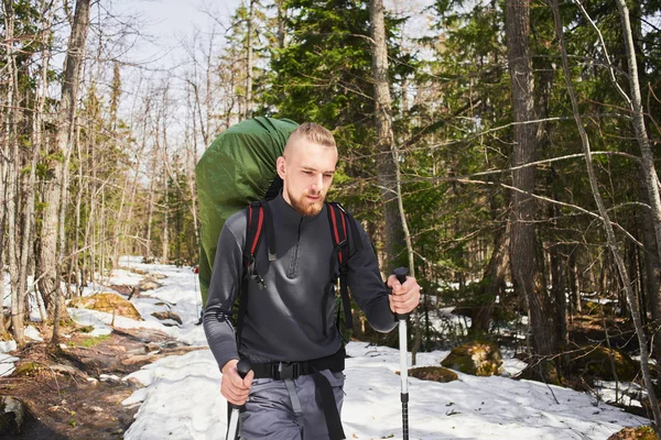 Schöner Männlicher Wanderer Mit Rucksack Und Stöcken Der Zwischen Bäumen — Stockfoto