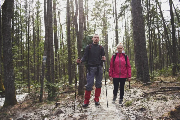 Bărbat Femeie Rucsacuri Stâlpi Picioare Printre Pini Pădure Conceptul Drumeții — Fotografie, imagine de stoc