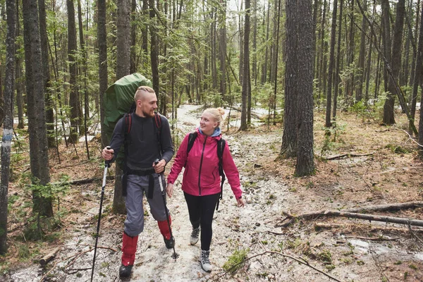 Male Female Tourists Looking Each Other While Walking Spring Forest — Stock Photo, Image