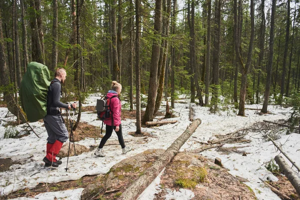 Vista Trasera Del Hombre Mujer Con Mochilas Postes Caminando Bosque —  Fotos de Stock