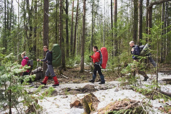Backpackers Polonyalılar Bahar Orman Yürüyüş Sırt Çantaları — Stok fotoğraf