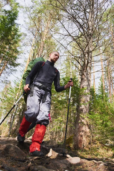 Rucksacktourist Mit Stöcken Und Rucksack Frühjahrswald Auf Hang Abgestürzt — Stockfoto