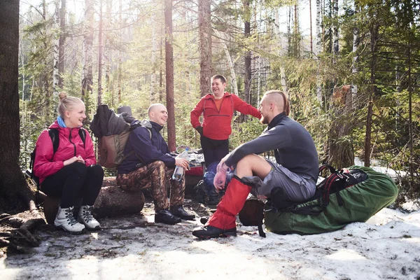 Gruppe Von Rucksacktouristen Entspannt Bei Sonnigem Wetter Wald — Stockfoto