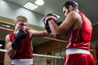 ringde kavga sırasında eğitmen ile güçlü boksör 
