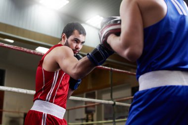 Yetişkin boksör ile spor salonunda antrenör eğitim